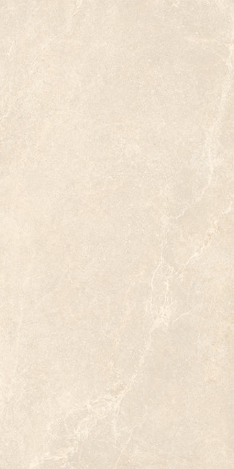 Noble Stone Beige 600x1200mm Matt Floor/Wall Tile (1.44m2 per box)