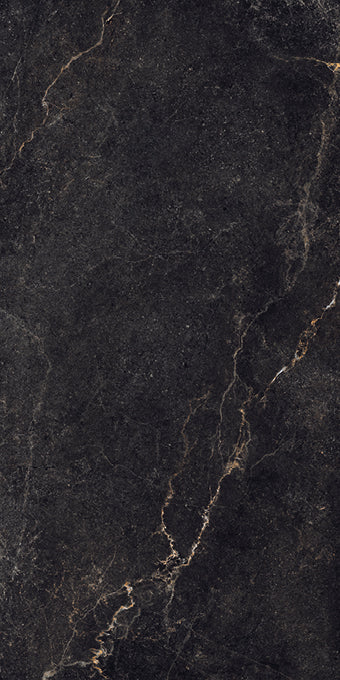 Noble Stone Dark 600x1200mm Matt Floor/Wall Tile (1.44m2 per box)