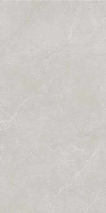 Noble Stone Grey 600x1200mm Matt Floor/Wall Tile (1.44m2 per box)