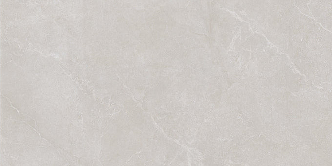 Noble Stone Grey 600x1200mm Matt Floor/Wall Tile (1.44m2 per box)