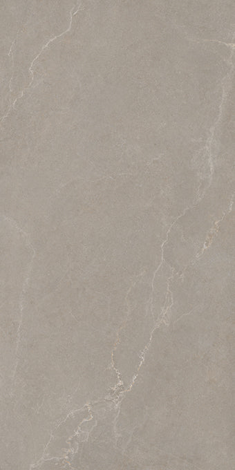 Noble Stone Taupe 600x1200mm Matt Floor/Wall Tile (1.44m2 per box)