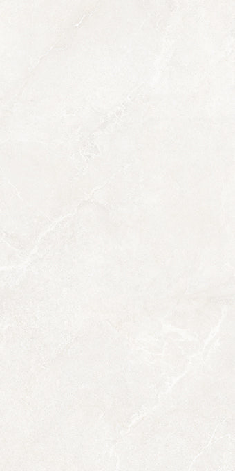 Noble Stone White 600x1200mm Matt Floor/Wall Tile (1.44m2 per box)