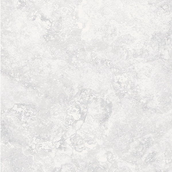 Celestial White 600x600mm In/Out (1.44m2 Per Box)