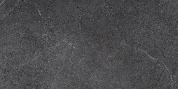 Costa Coal In/Out 300x600 Floor/Wall Tile(1.44m2 per box)
