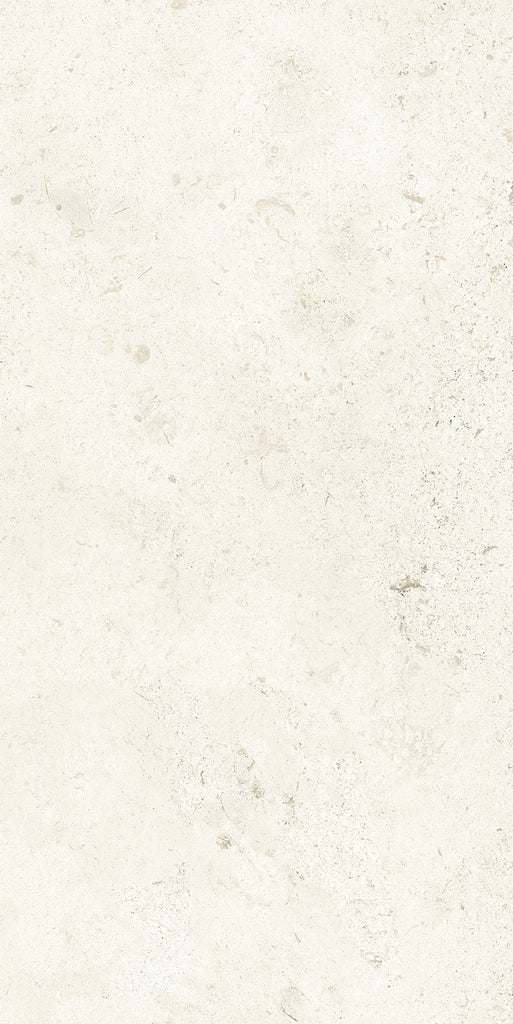 Lithoteke French Stone Matt 300x600mm Floor/Wall Tile (1.26m2 per box)