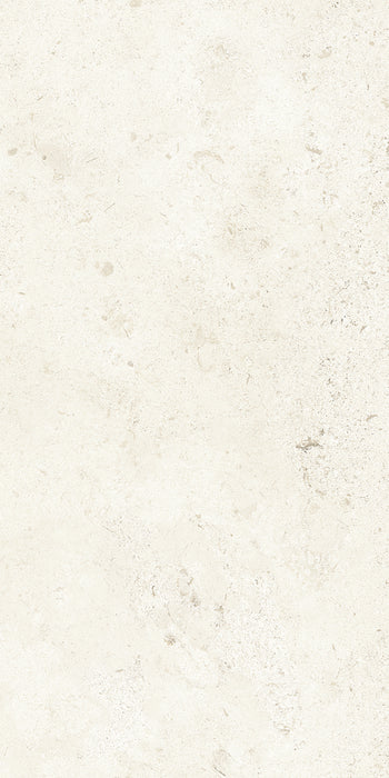 Lithoteke French Stone Matt 300x600mm Floor/Wall Tile (1.26m2 per box)