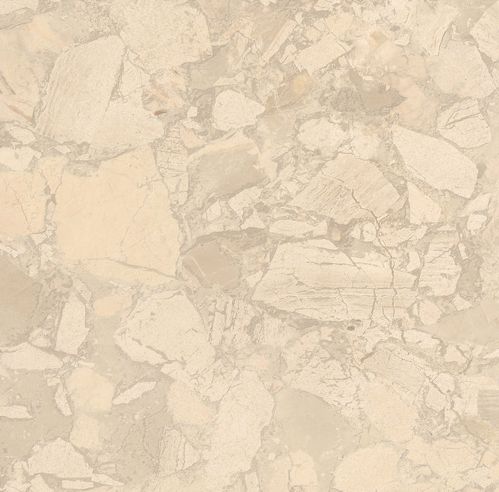 Arkigem Cappuccino 600x600mm Matt Floor/Wall Tile (1.44m² per Box)