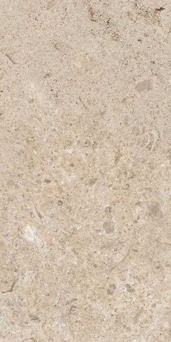 Lithoteke Limestone 300x600mm Matt Floor/Wall Tile (1.26m2 per box)