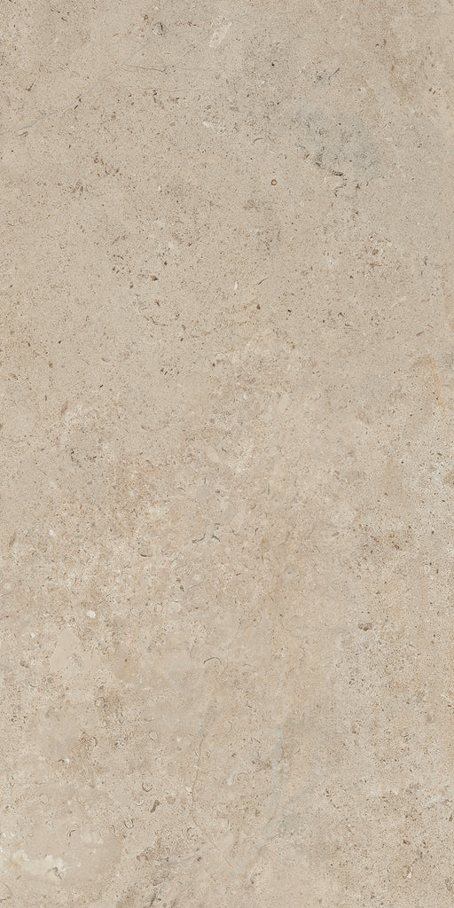 Lithoteke Limestone 600x1200mm Honed Floor/Wall Tile (1.44m2 per box)
