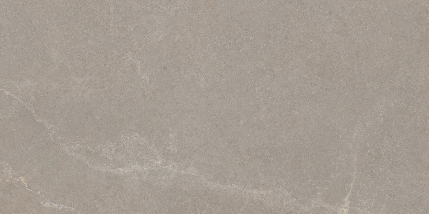 Noble Stone Taupe 300x600mm Matt Floor/Wall Tile (1.26m2 per box)