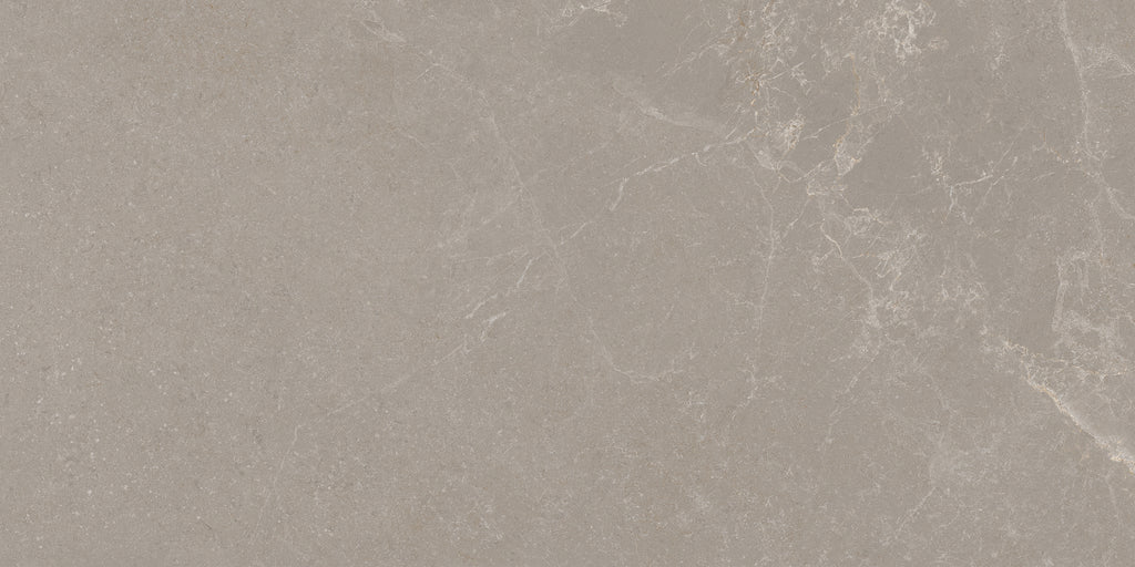 Noble Stone Taupe 300x600mm Matt Floor/Wall Tile (1.26m2 per box)