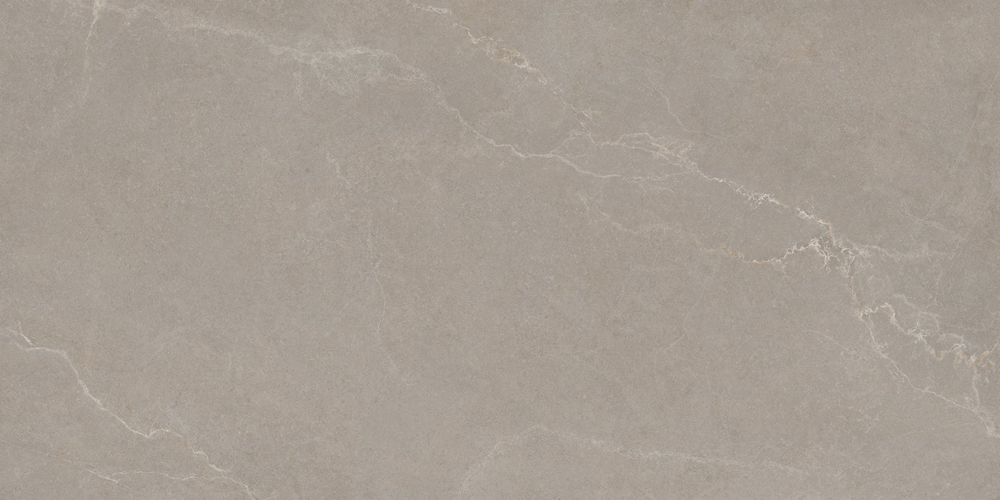 Noble Stone Taupe 600x1200mm Matt Floor/Wall Tile (1.44m2 per box)