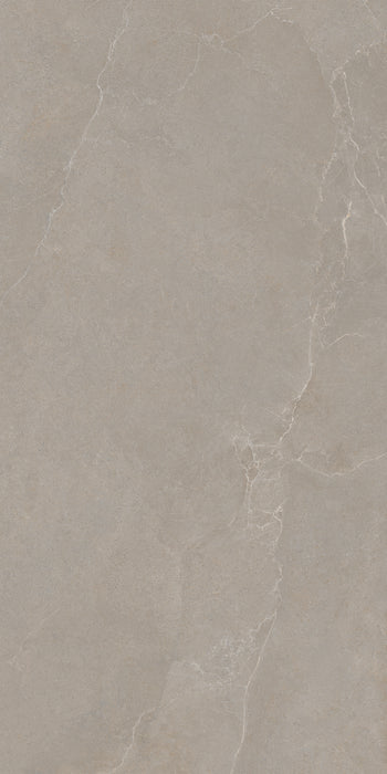 Noble Stone Taupe 600x1200mm Matt Floor/Wall Tile (1.44m2 per box)