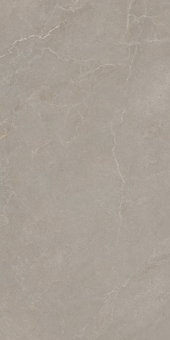 Noble Stone Taupe 600x1200mm Matt Floor/Wall Tile (1.44m2 per box)