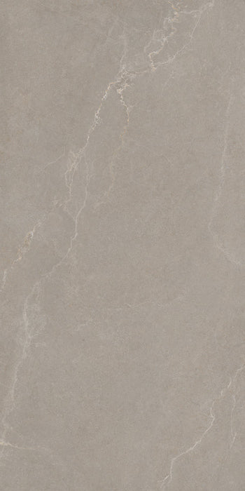 Noble Stone Taupe 600x1200mm Matt Floor/Wall Tile (1.44m2 per box)