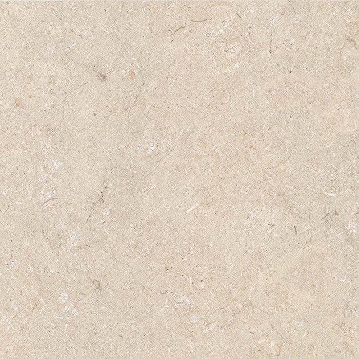 Poetry Stone Trani Beige 600x600mm Matte Floor/Wall Tile (1.08m2 box) - $81.50m2