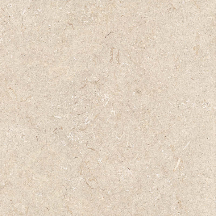 Poetry Stone Trani Beige 600x600mm Matte Floor/Wall Tile (1.08m2 box) - $81.50m2