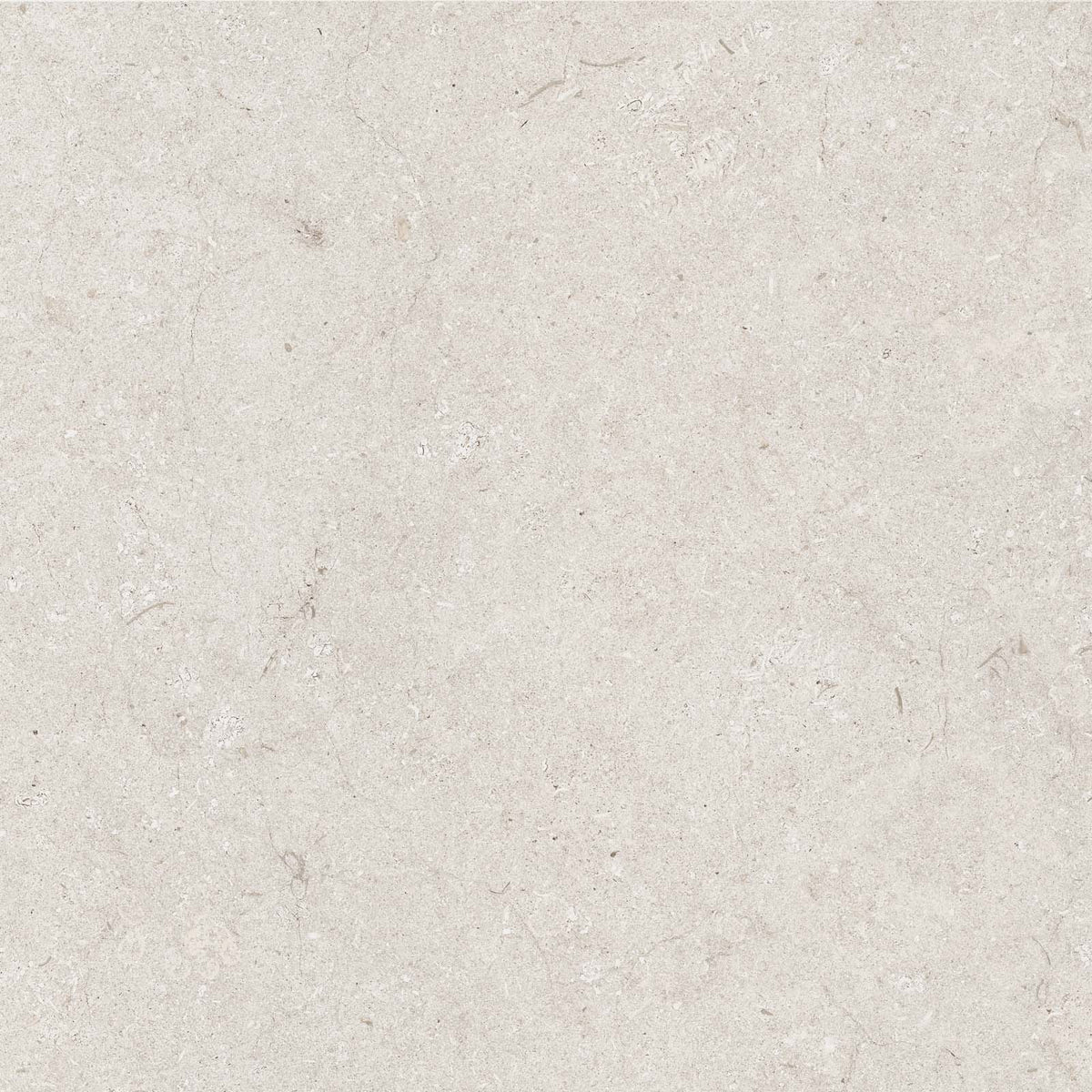 Poetry Stone Trani Ivory 600x600mm Matte Floor/Wall Tile (1.08m2 box ...