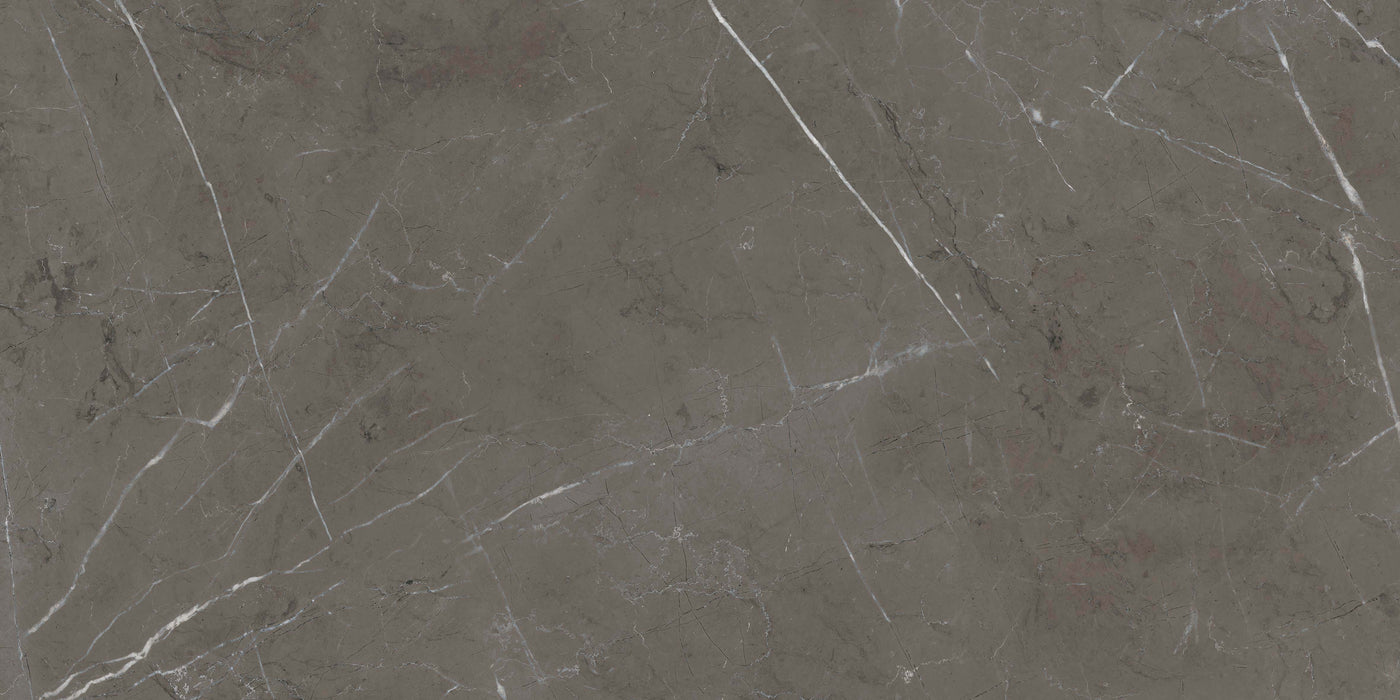 Sensi 900 Stone Grey Polished 600x1200mm Floor/Wall Tile (1.44m2 per box)