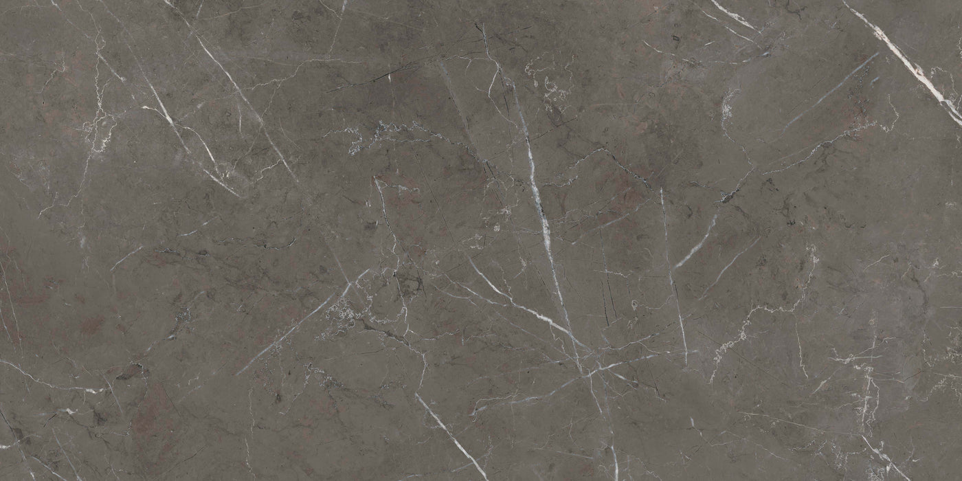 Sensi 900 Stone Grey Polished 600x1200mm Floor/Wall Tile (1.44m2 per box)