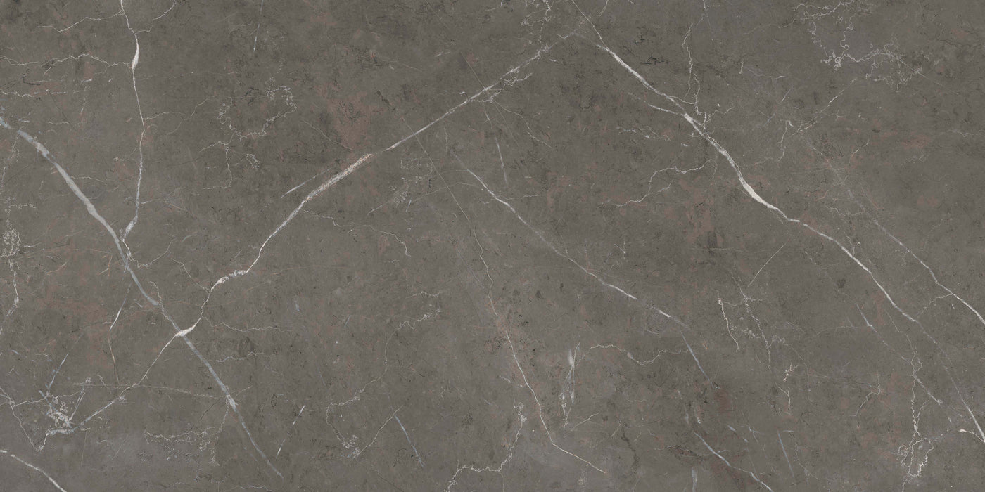 Sensi 900 Stone Grey Matte 600x1200mm Floor/Wall Tile (1.44m2 per box)
