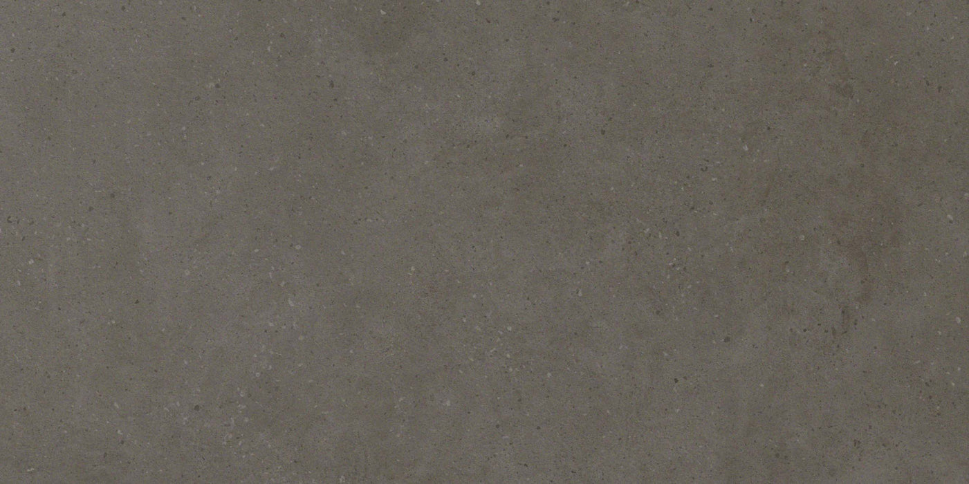 Dwell Smoke 300x600mm Polished Finish Floor Tile (1.26m2 box)