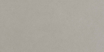 Arkshade Grey 300x600mm Polished Finish Floor Tile (1.26m2 box)