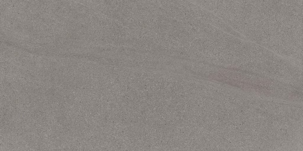 Baltic Dark Grey 600x1200mm Matte Floor/Wall Tile (1.44m2 per box)