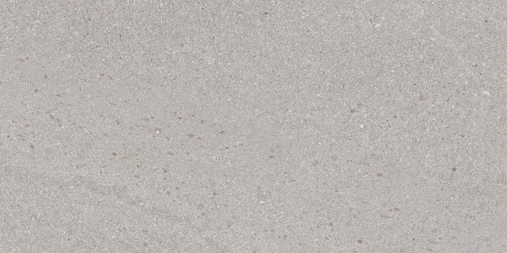 Baltic Grey 300x600mm Matte Floor/Wall Tile (1.26m2 box)