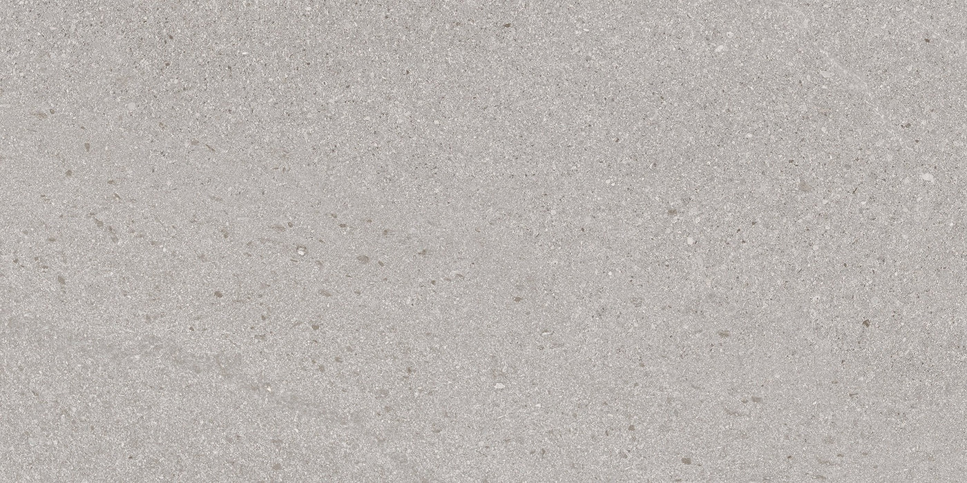 Baltic Grey 300x600mm Matte Floor/Wall Tile (1.26m2 box)