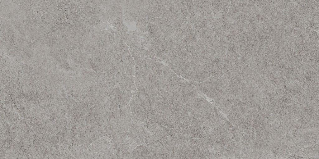 Angers Grey 300x600mm Matte Floor/Wall Tile (1.26m2 per box)