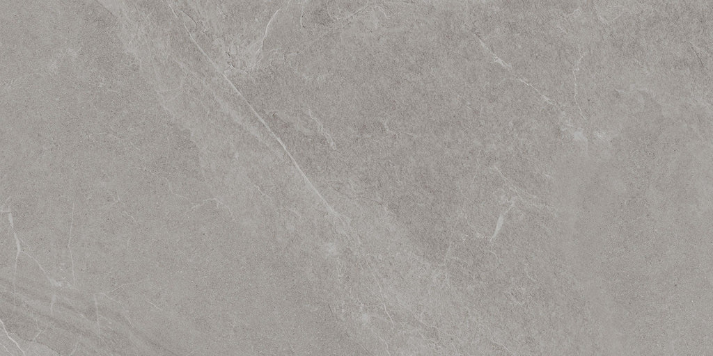 Angers Grey 600x1200mm Matte Floor/Wall Tile (1.44m2 per box)