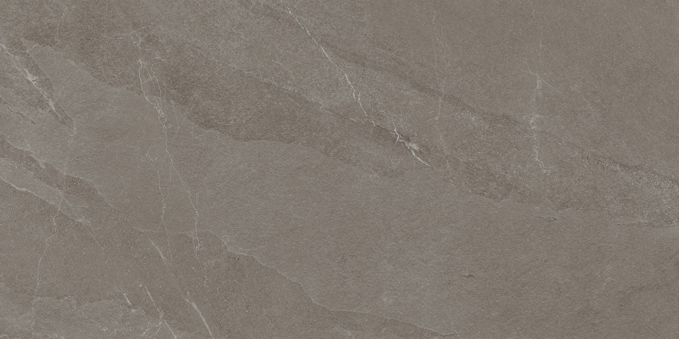 Angers Olive 600x1200mm Matte Floor/Wall Tile (1.44m2 per box) - $98.33m2