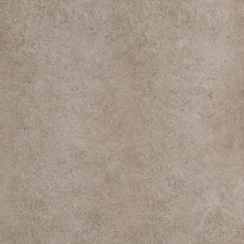 Realm Gray 600x600mm Matte Floor/Wall Tile (1.44m2 box)