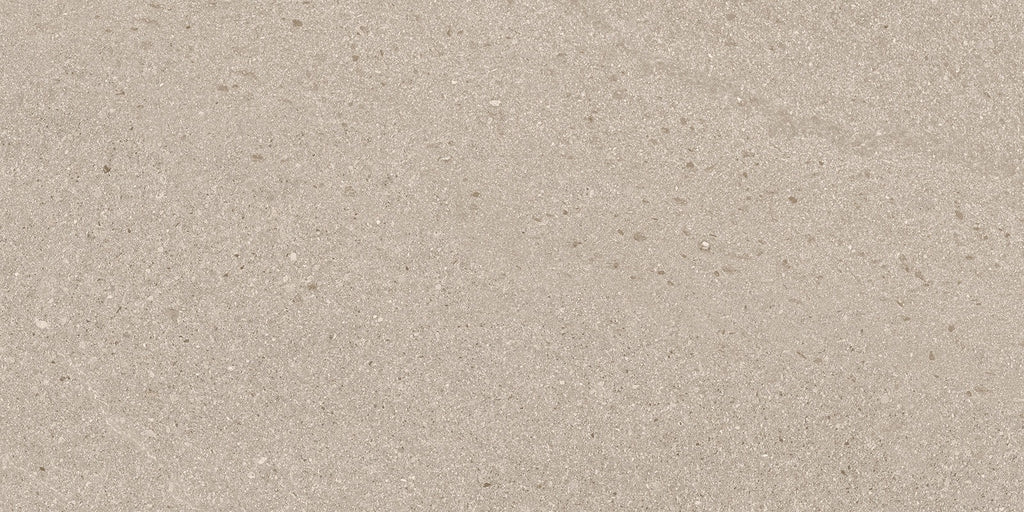 Baltic Taupe 300x600mm Matte Floor/Wall Tile (1.26m2 box)