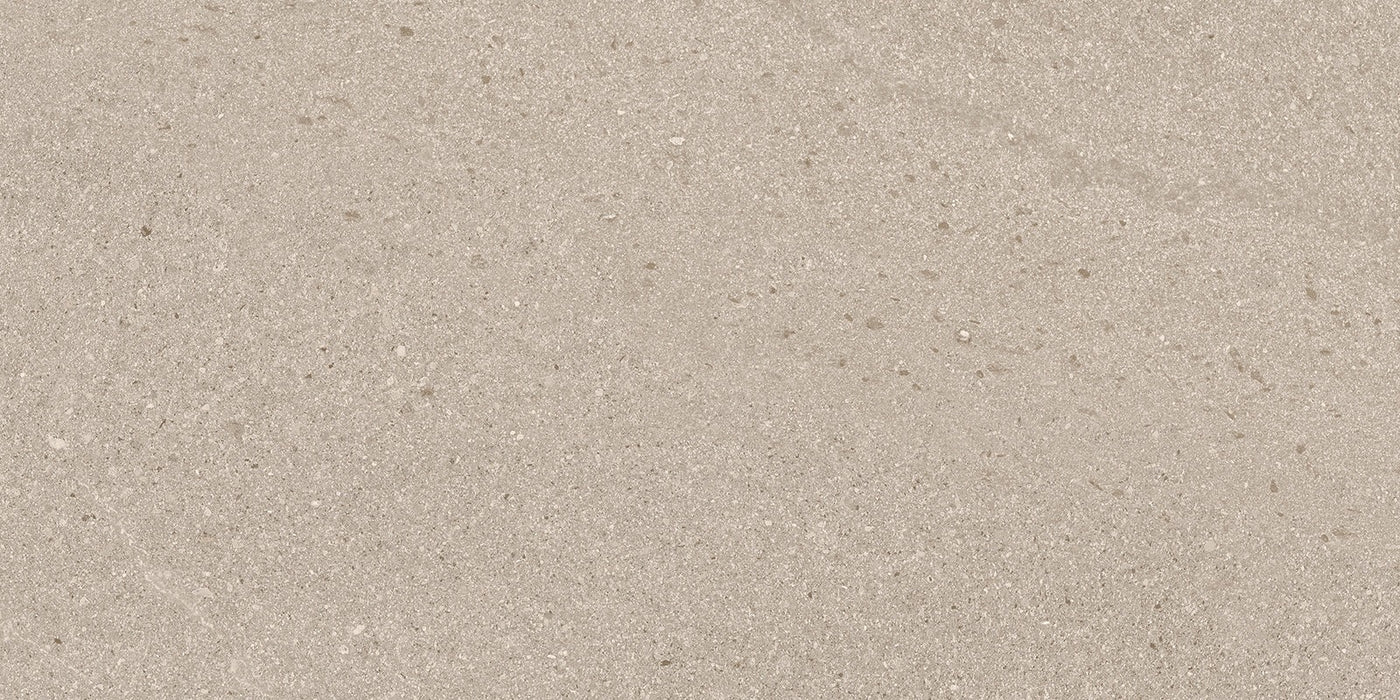 Baltic Taupe 300x600mm Matte Floor/Wall Tile (1.26m2 box)